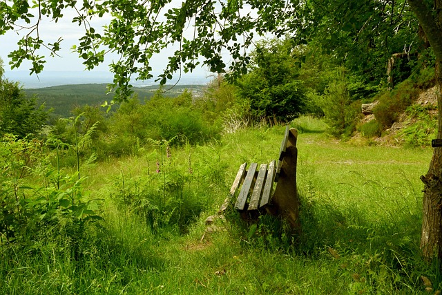 逐步恢复了 逐步恢复了