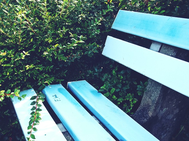 争胜态度 争胜态度