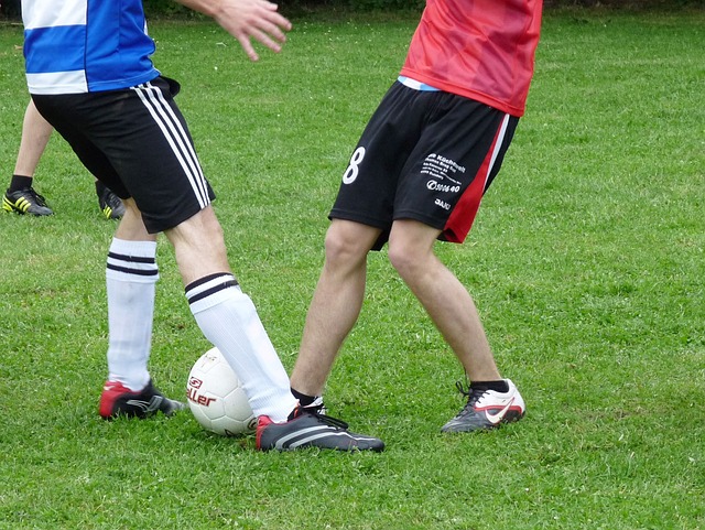 从数据分析 从数据分析