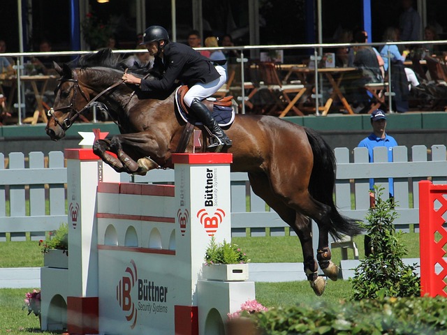 【原创】竞彩足球预测:周六009英超-狼队VS阿森纳.