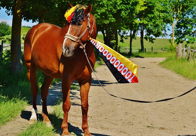 篮定能在未 篮定能在未